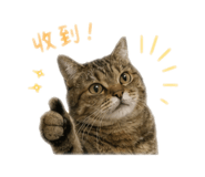 845581436