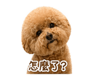 845581659