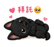845581804