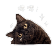 845582702