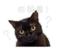 845582709