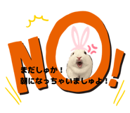 845583659