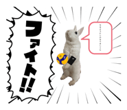 845583664