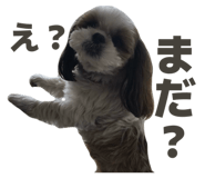 845583687