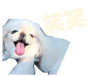 845583688
