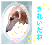 845583708