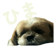 845583718