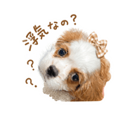 845583861
