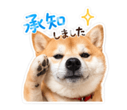 845584127
