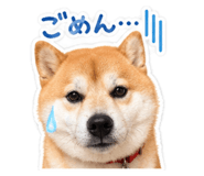 845584131