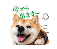 845584132