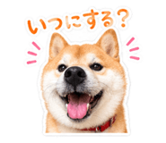 845584134