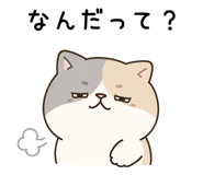 845584228