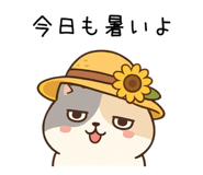 845584243