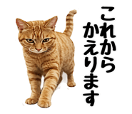 845584387