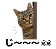 845584508