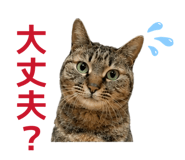 845584509