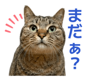 845584510