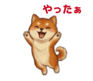 845585702