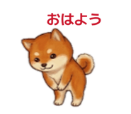 845585711