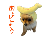 845602018