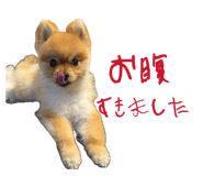 845602019