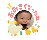 845602037