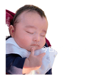 845602152