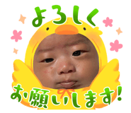 845602185
