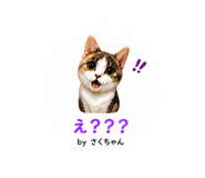 845602470