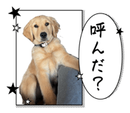 845602547