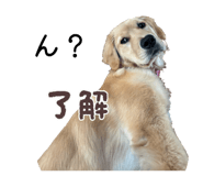 845602550