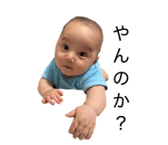 845602633