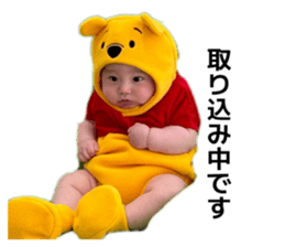 845602635