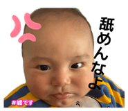 845602643