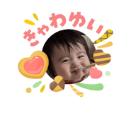 845602651