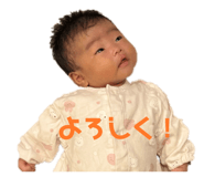 845603017