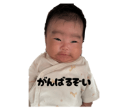 845603025