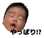 845603032