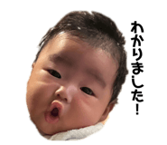845603033