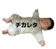 845603041