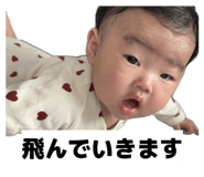 845603045