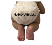 845603050