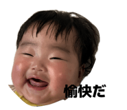 845603053