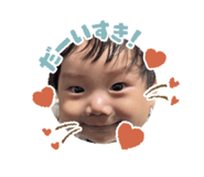 845603461