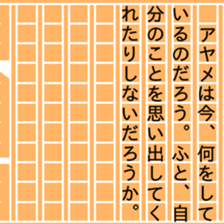 84561065