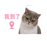 845615211