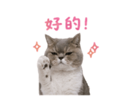 845615217