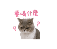 845615219