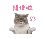 845615221